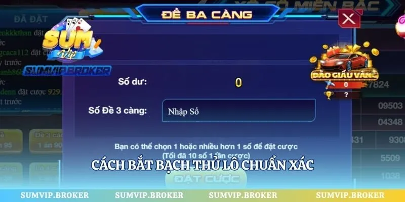 Cách bắt bạch thủ lô chuẩn xác