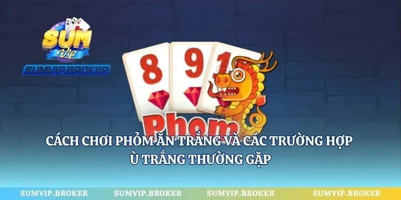 Cách Chơi Phỏm Ăn Trắng Và Các Trường Hợp Ù Trắng Thường Gặp
