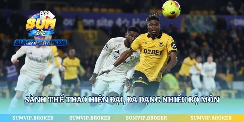 Sảnh thể thao hiện đại, đa dạng nhiều bộ môn