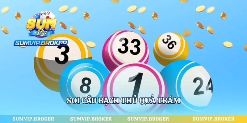 Soi cầu bạch thủ quả trám