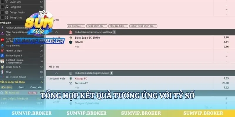 Tổng hợp kết quả tương ứng với tỷ số