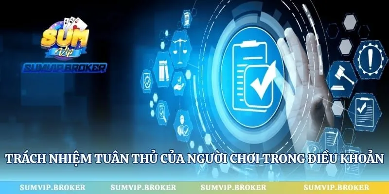 Trách nhiệm tuân thủ của người chơi trong điều khoản